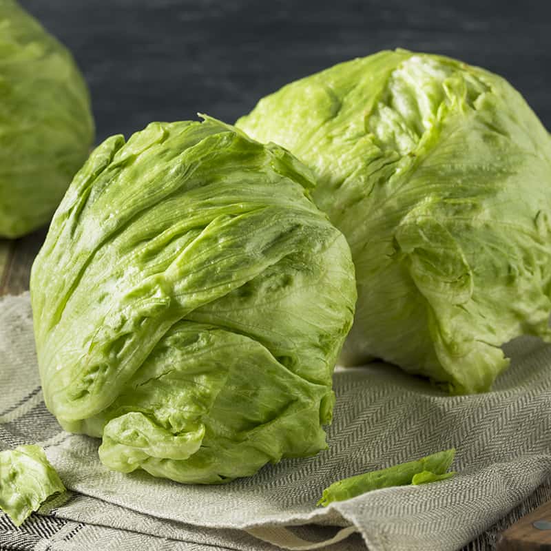 Iceberg Lettuce
