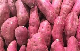 Sweet Potato ( शकरकंद )