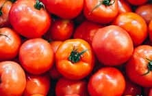 Desi Tomato