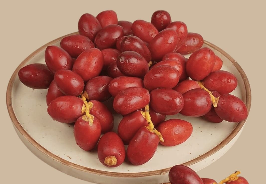 Fresh Red Dates