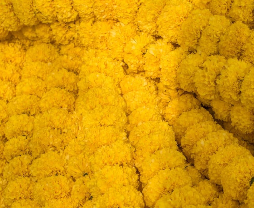 Yellow Marigold Garland