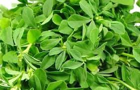 Methi Leaf (  मेथी पत्ता )