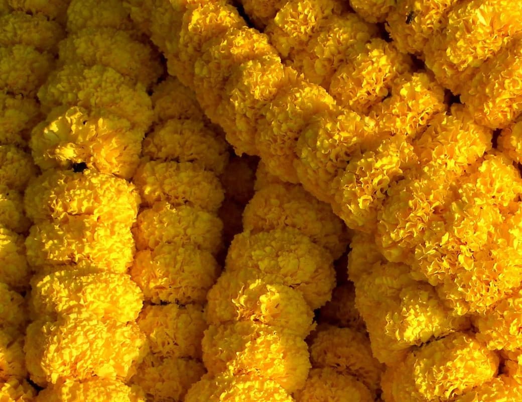 Yellow Marigold Garland