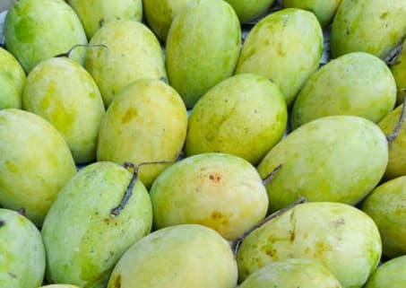 Langda Mangoes
