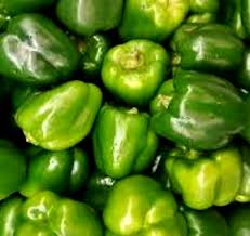 Capsicum