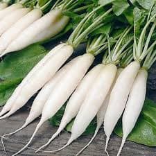 Radish ( मूली )