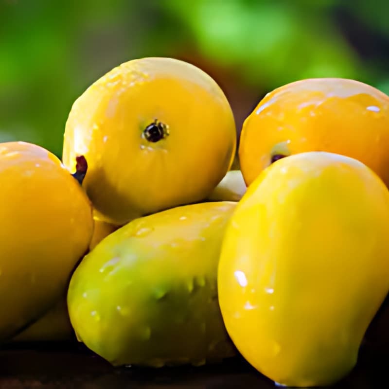 Kesar Mango