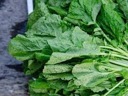 Radish Leaves