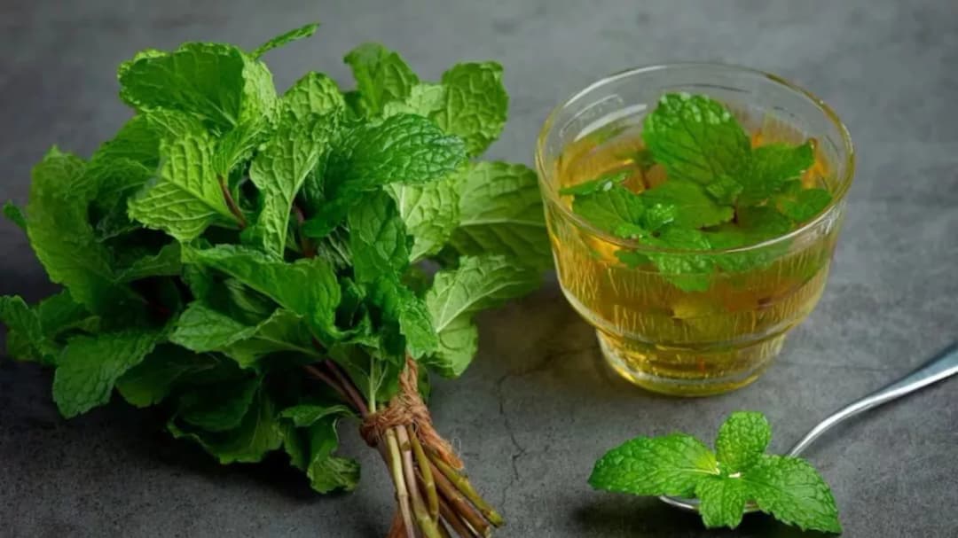 Mint leaves