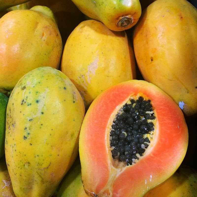 Papaya (पपीता)