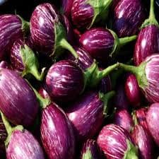 Brinjal (बैंगन)