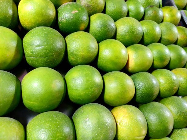 Mosambi