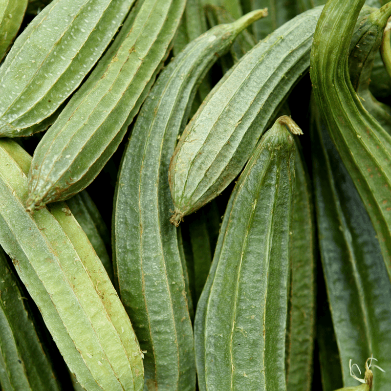 Tori (तोरी)