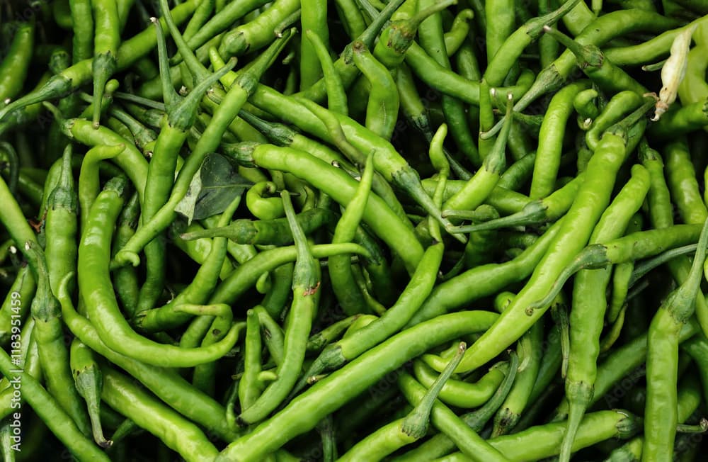 Small Green Chilly