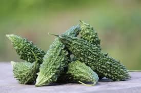 Bitter gourd