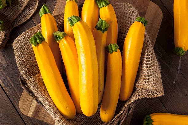 Yellow Zucchini