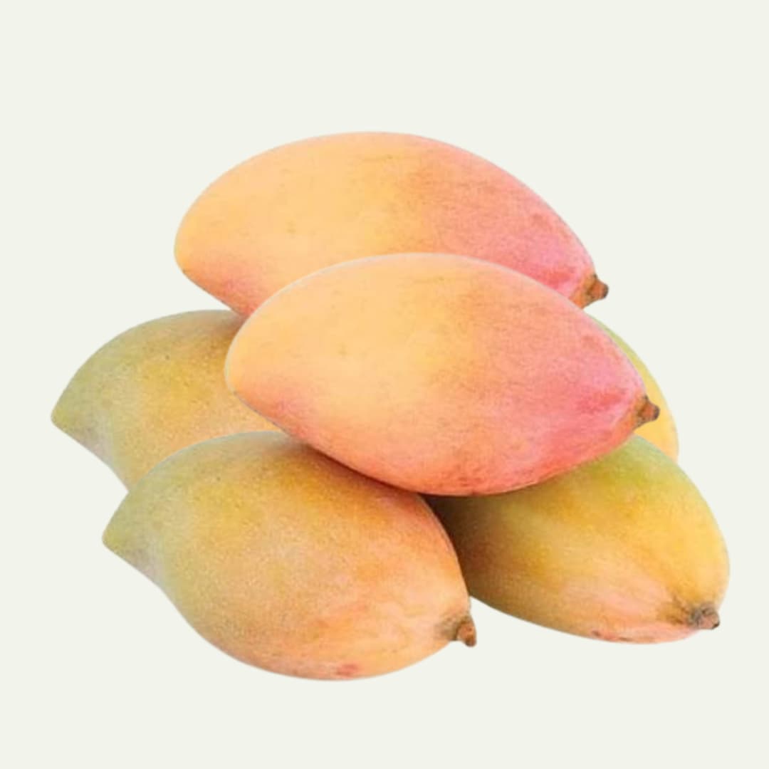 Totapuri Mango