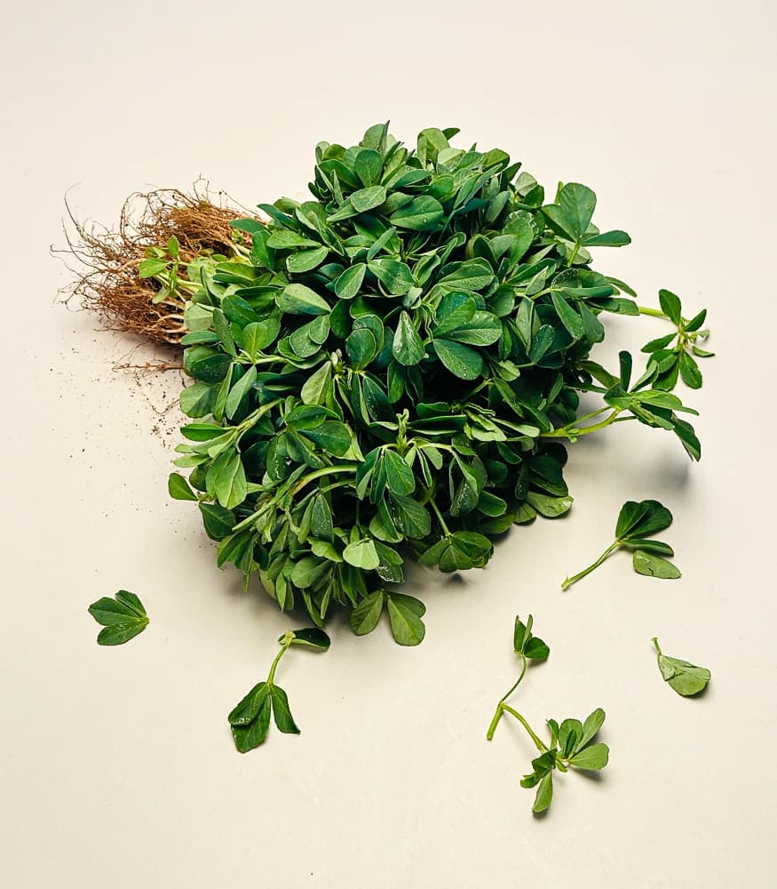 Methi Bunch
