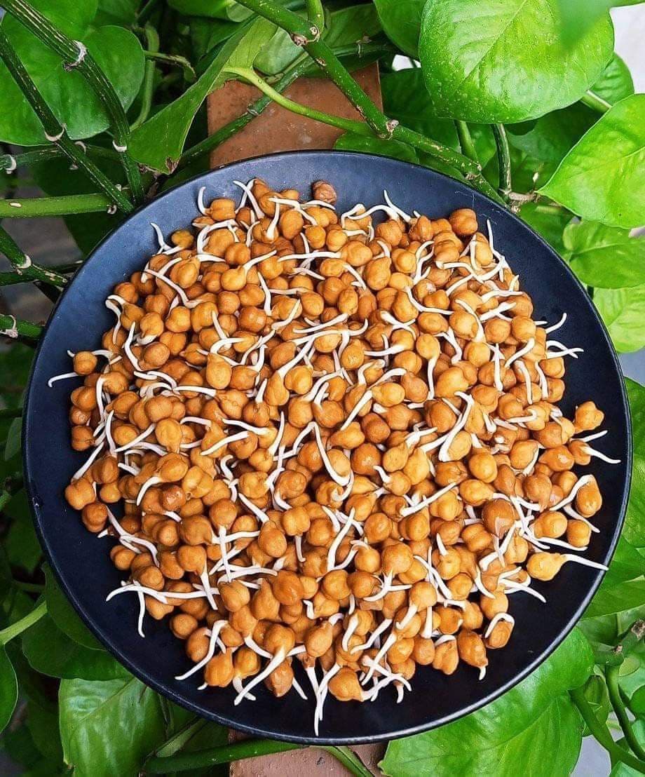 Kala Chana Sprouts