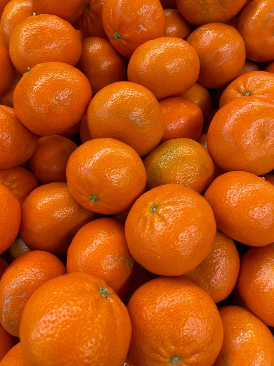 Mini Orange