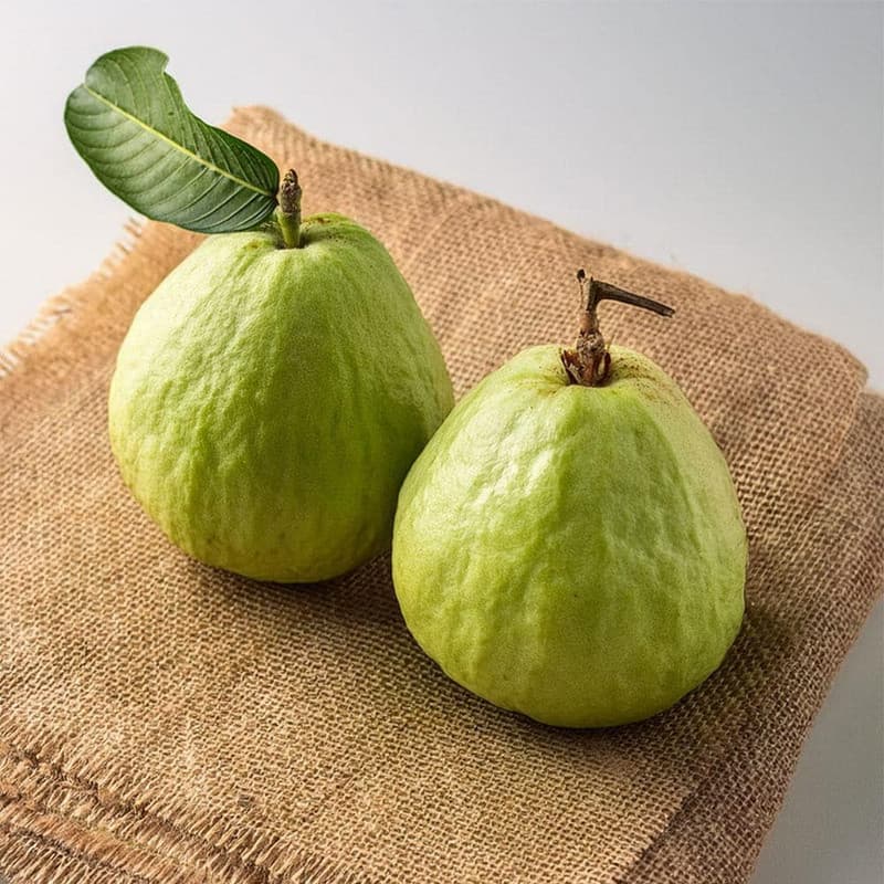 Thai Guava