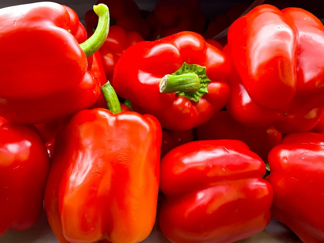 Red Bell Pepper.