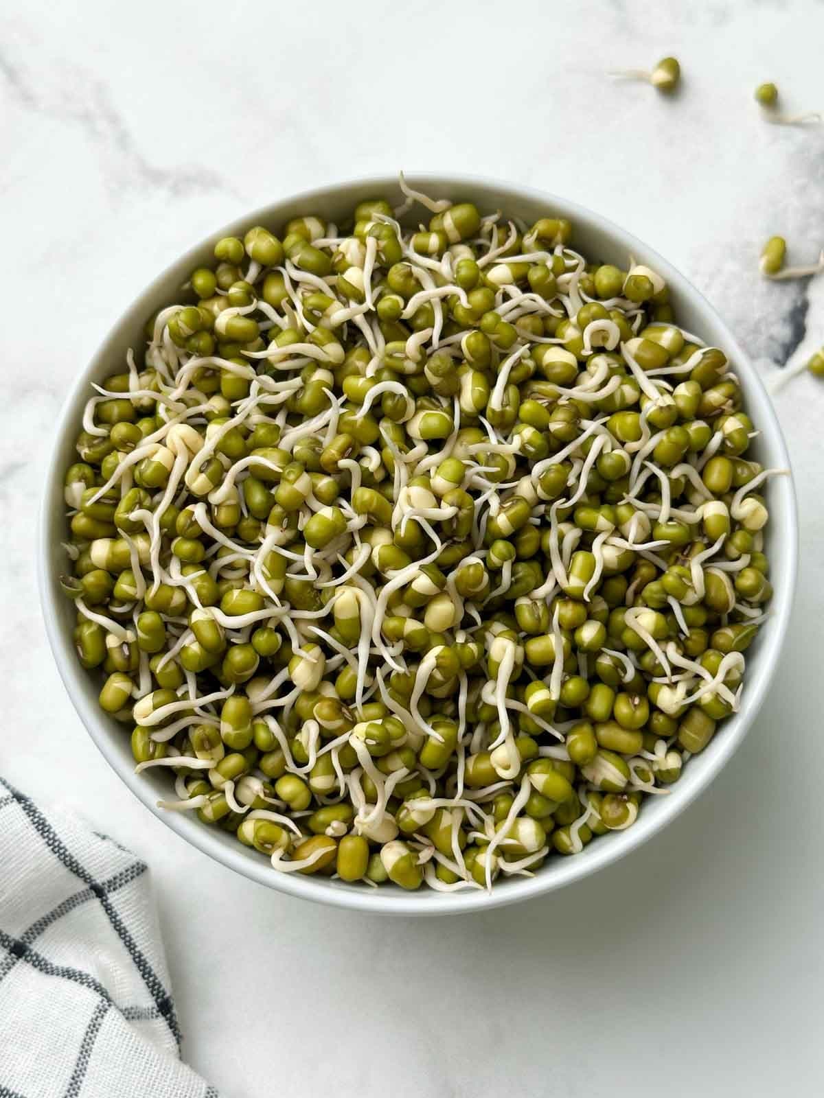 Moong Sprouts